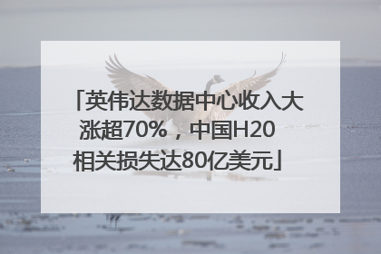 英伟达数据中心收入大涨超70%，中国H20相关损失达80亿美元